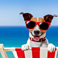 Fabulous 2 bedroom dog friendly chalet 5 min walk to beach, nr Gt Yarmouth & Norfolk Broads