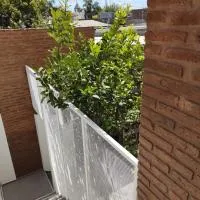 Mi Limonero, hotel u gradu Esperansa