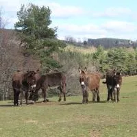 gite à la ferme, hotel u gradu Vernet-la-Varenne