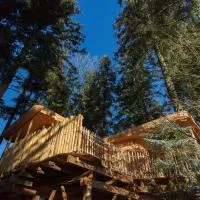 Domaine de l'Authentique Cabanes dans les arbres, hotel di Fournet-Blancheroche