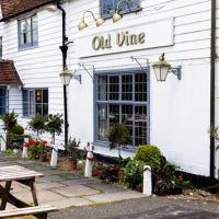 The Old Vine Inn