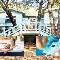 Pine Hills Cabin in Julian, hotel en Julian