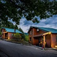 Chalet Likouresi Village, hotel di Karpenision