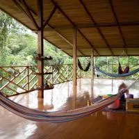 Wisdom Forest Lodge, hotel in Tena