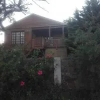 Emerald Hill Cabin, hotel i Mount Pleasant