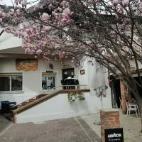 Bizant Boutique, hotel di Bacau