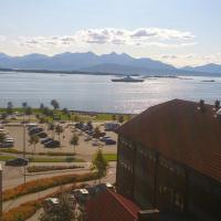 Fjord Panorama Homestay, Hotel in Molde