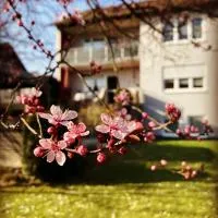 Gemütliche Ferienwohnung im Aalbachtal - Uettingen bei Würzburg - Parkplatz und Wallbox, hotel em Uettingen