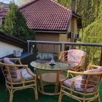 Мансардна Никол, hotel em Vidin