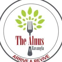 The Alnus Ravangla, hotel em Ravangla