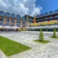 Hotel Crni Vrh, hotel in Divčibare