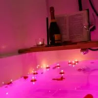 Apartament Leśny No 64 nad Zalewem JACUZZI, KOMINEK z Garażem w cenie, hotel en Kielce