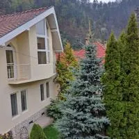 Pensiunea Irina, hotel v destinaci Tilişca