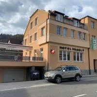 Penzion Vesely, hotel em Železný Brod