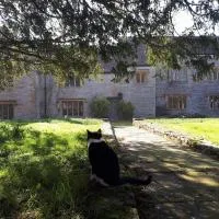The Manor House, Curry Mallet, hotel em Taunton