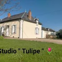 studio ''tulipe'' dans le Berry, khách sạn ở Les Bordes