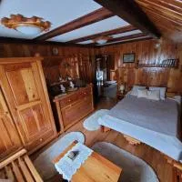 RUSTIC Vidra, hotel u gradu 'Vidra'
