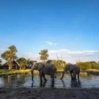 South Okavango - Omogolo Hideaways, hotel em Rammu