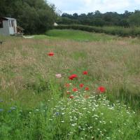 Little Idyll shepherds hut