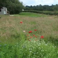 Little Idyll shepherds hut, hotel em Chester