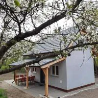 Noclegi Różanka، فندق في Radomierz
