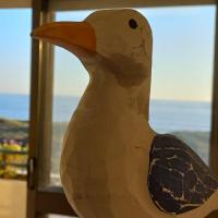 Little Seagull Guest House, hotel in Azurara