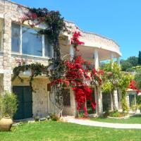 House Lemoni, Apartment B - Pelekas, Corfu