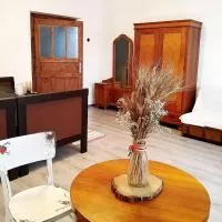 Family Apartman Szádelő - Zádiel, hotel a Zádiel