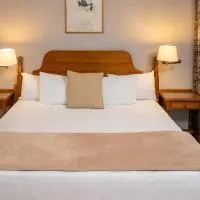 Ngwenya City Hotel, отель в городе Клерксдорп
