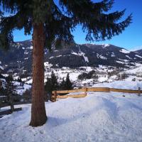 Panoramaalm - Ski in - Ski out