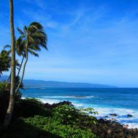 Waimea Point Oceanfront House - (with Air Conditioning)