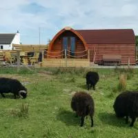 Achmeney Glamping larger than Average pod, viešbutis mieste Halkirk