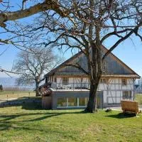 Historisches Doppel - Riegelbauernhaus, hotell sihtkohas Langnau am Albis