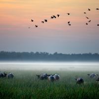 Bamurru Plains, hotel u gradu Point Stuart