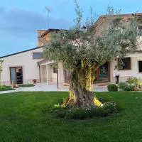 Balneum Rooms & SPA، فندق في Mirabella Eclano