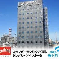HOTEL LiVEMAX Okazaki, hotel i Okazaki