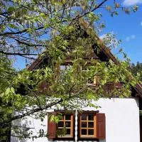 Siedlisko Mazurskie koło Mikołajek, hotel en Zełwągi