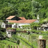 Country House Dajkovic, hotel a Dupilo