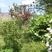 Chambre single, hotel di Nadrin