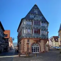 Hotel zum Riesen - älteste Fürstenherberge Deutschlands, hotel in Miltenberg