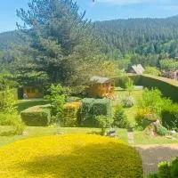 L’hippocampe, hotell i Wangenbourg