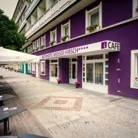 AKTIVHOTEL Weisser Hirsch, hotel u gradu Marijacel