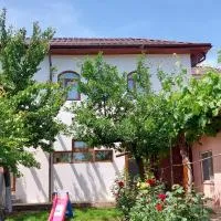 Agropensiunea Olteanu, отель в городе Niculiţel