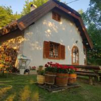 Landhaus mit Weinkeller - Nádas Pince