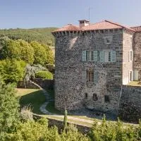 Château du Chambon, отель в городе Cerzat