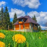 Apartmani Nišićka Oaza, viešbutis Sarajeve