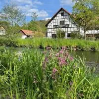 Hotel Der Distelhof - ihr Land- und Tagungshotel zwischen Rennsteig, Rhön & Werratal – hotel w mieście Dillstädt