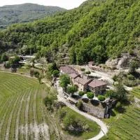 Cascina Bertolotto Wine Resort, hotell i Spigno Monferrato