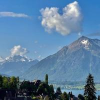 Schöne Ferienwohnung mit Seeblick，圖恩Hilterfingen的飯店