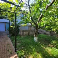 Vila Kalypso, hotel a Schitul